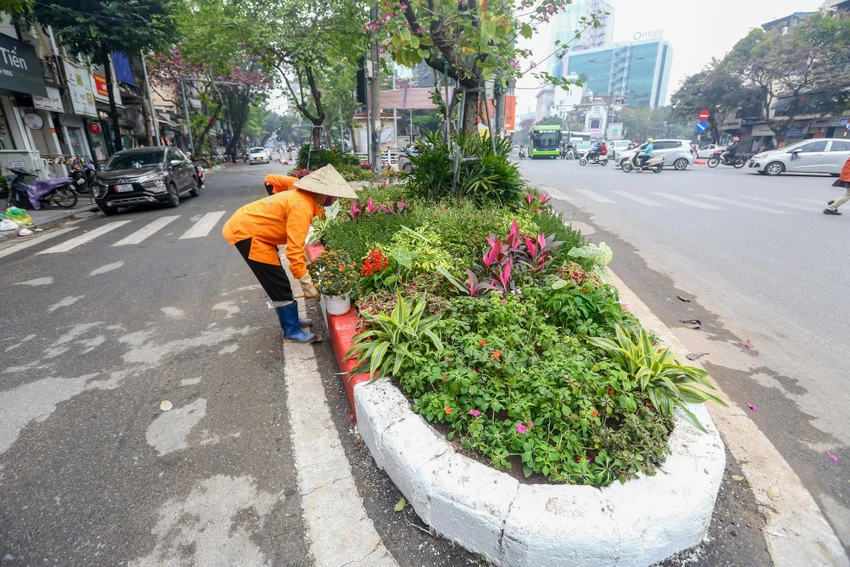 vuon-hoa-hoan-kiem-2-6282.jpeg
