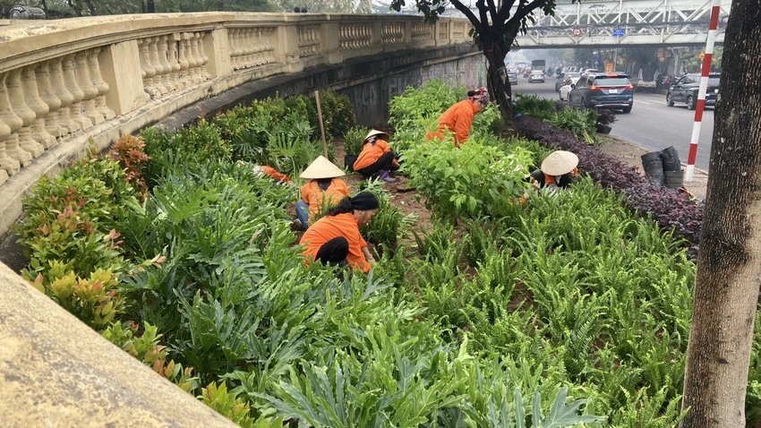vuon-hoa-hoan-kiem1-1105.jpeg