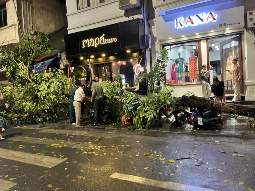 giong-loc-ha-noi3.jpg
