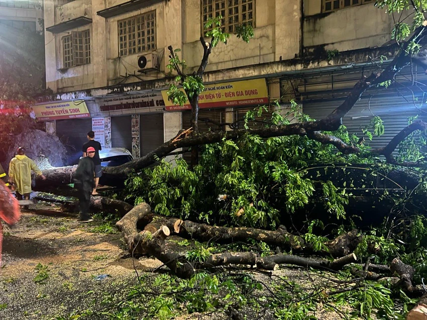 mua-da-giong-loc-ha-noi2.jpg