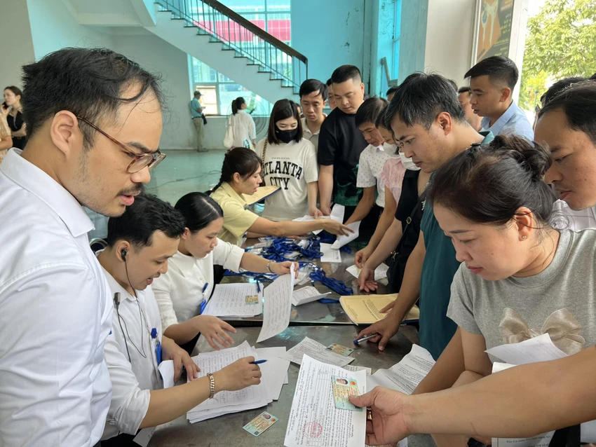 Đấu giá đất