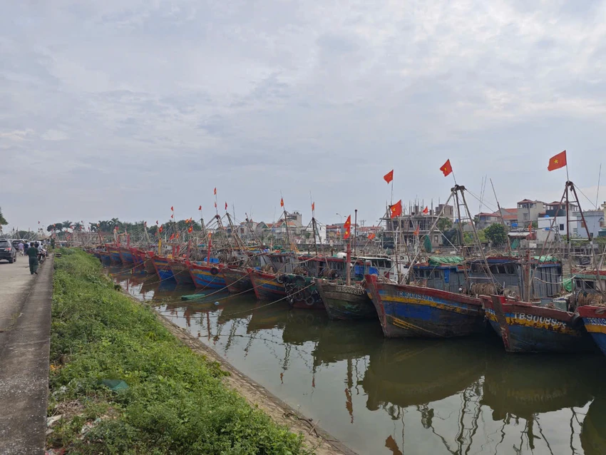 bao-so-3-thai-binh.jpg