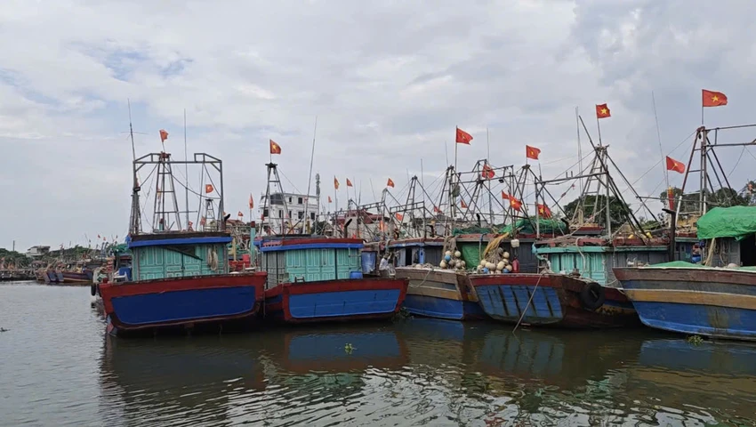 bao-so-3-thai-binh3.jpg