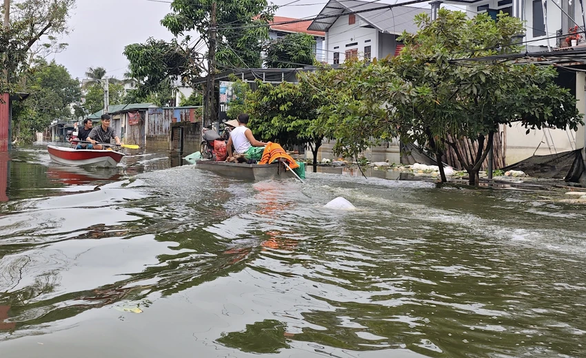 ron-lu-cua-Ha-Noi-7.jpg
