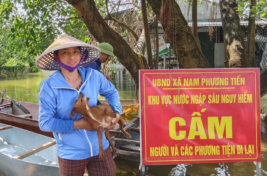 ron-lu-cua-Ha-Noi-9.jpg