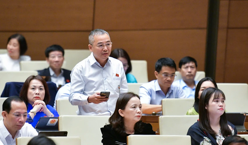 ĐB Nguyễn Lân Hiếu: Cứu trợ bão số 3, có nơi chôn hàng tấn thực phẩm...