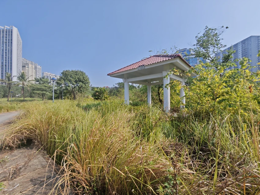 cong-vien-ho-phung-khoang-15.jpg