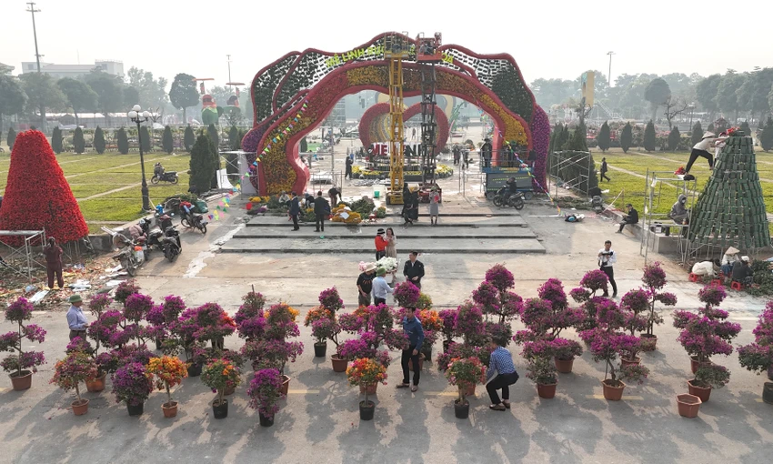 Festival-hoa-me-linh-1.JPG