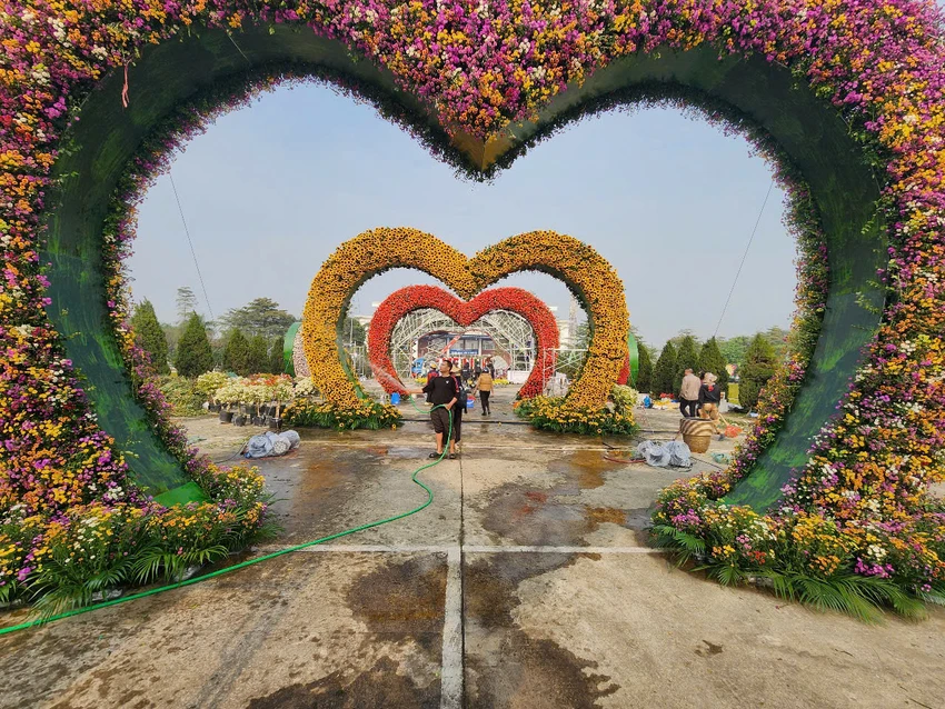 Festival-hoa-me-linh-10.jpg