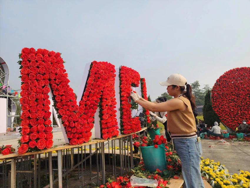 Festival-hoa-me-linh-11.jpg