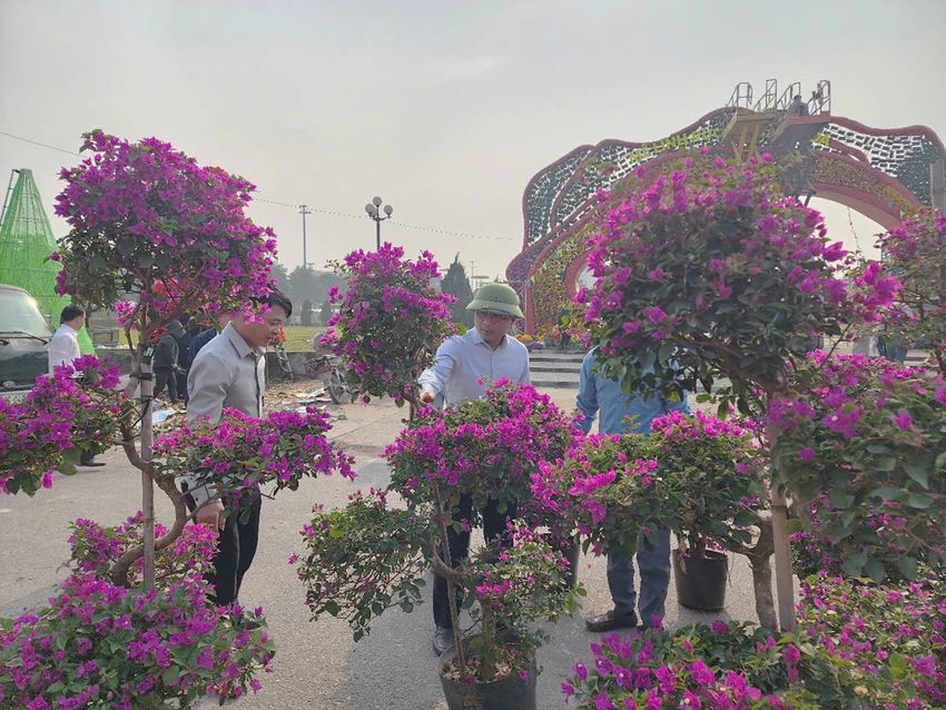 Festival-hoa-me-linh-12.jpg