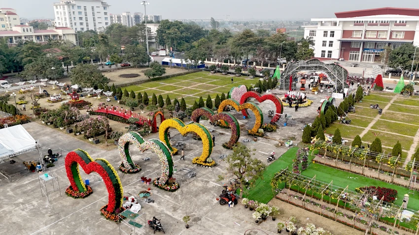 Festival-hoa-me-linh-2.JPG