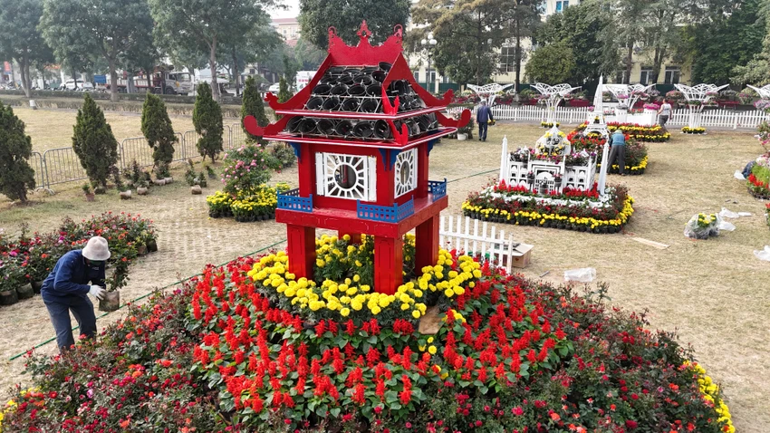 Festival-hoa-me-linh-3.JPG