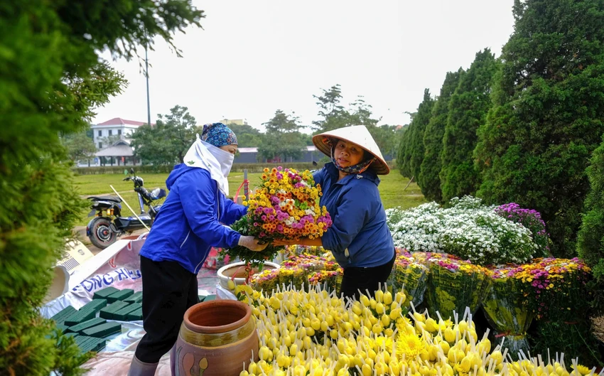 Festival-hoa-me-linh-8.jpg