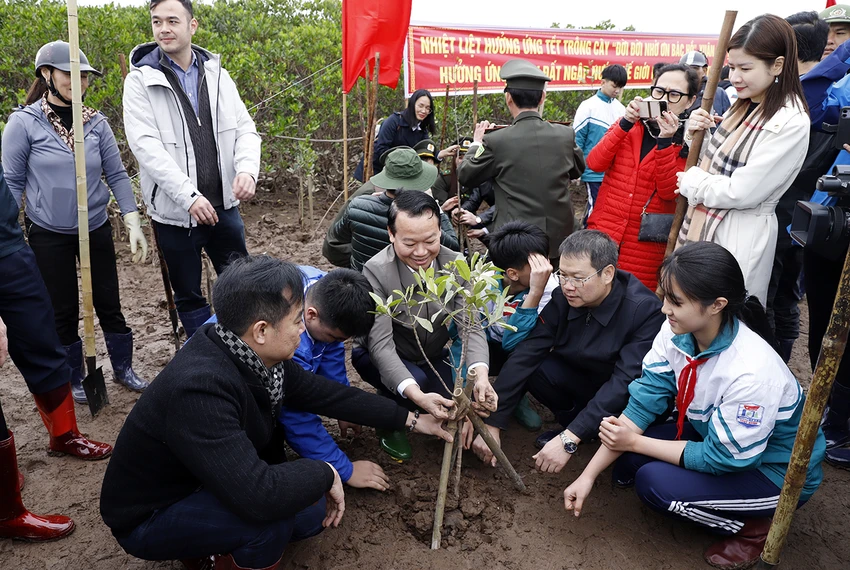 tet-trong-cay-1.jpg