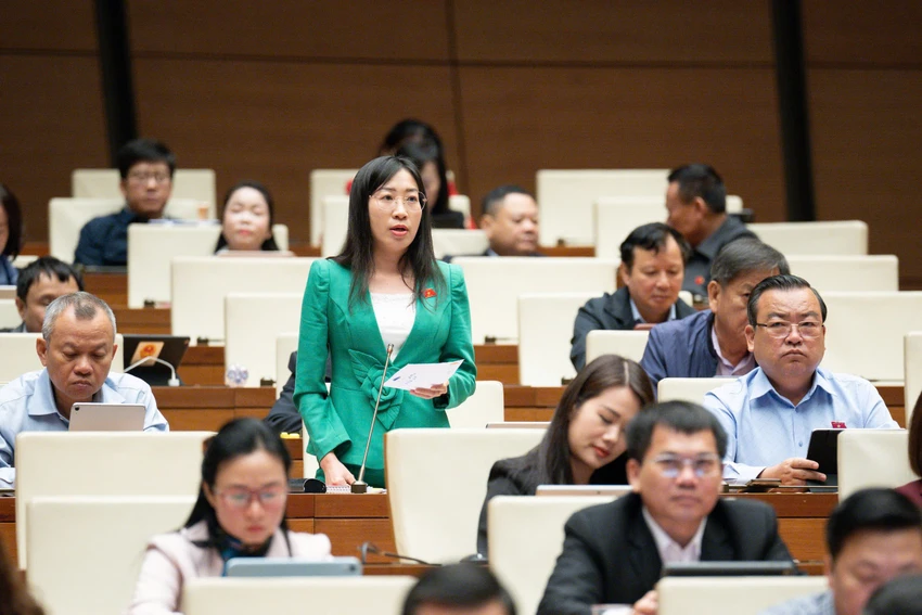 to-dai-bieu-hdnd-hoang-thanh-thuy.jpg