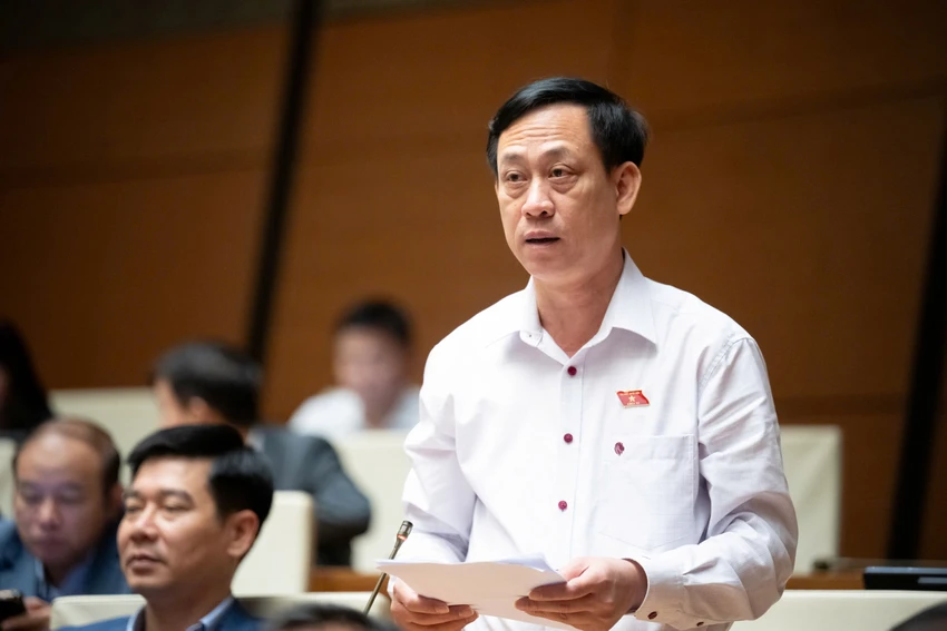 to-dai-bieu-hdnd-mai-van-hai.jpg