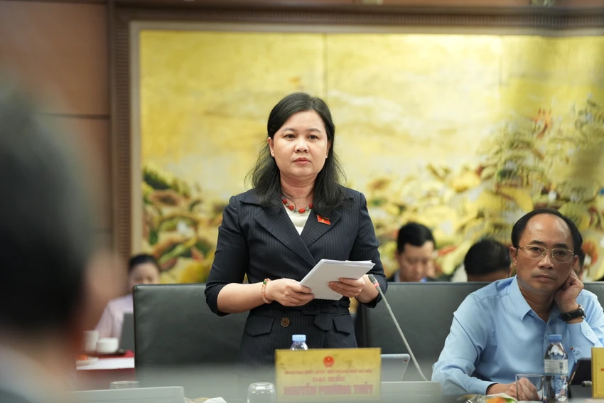 dai-bieu-nguyen-phuong-thuy-4.JPG