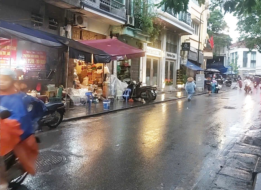 via-he-nguyen-thien-thuat.jpg