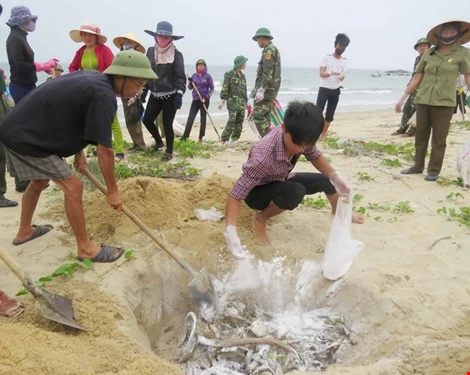 Có thể công bố nguyên nhân cá chết bất thường vào ngày 29-6 ảnh 1