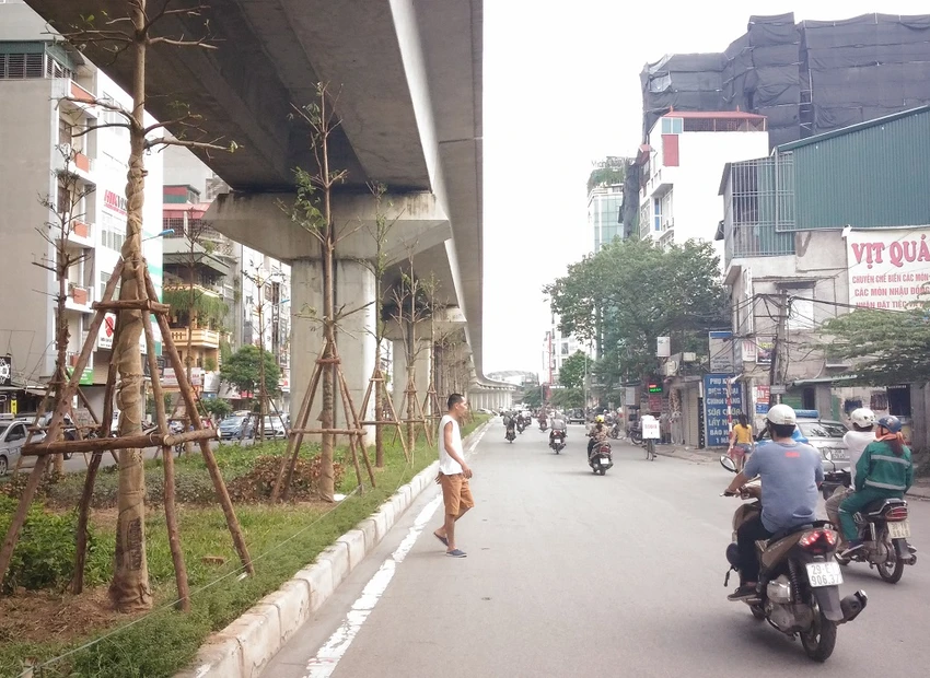 Độc nhất vô nhị: Trồng cây dưới… gầm đường sắt ảnh 3 Độc nhất vô nhị: Trồng cây dưới… gầm đường sắt ảnh 3