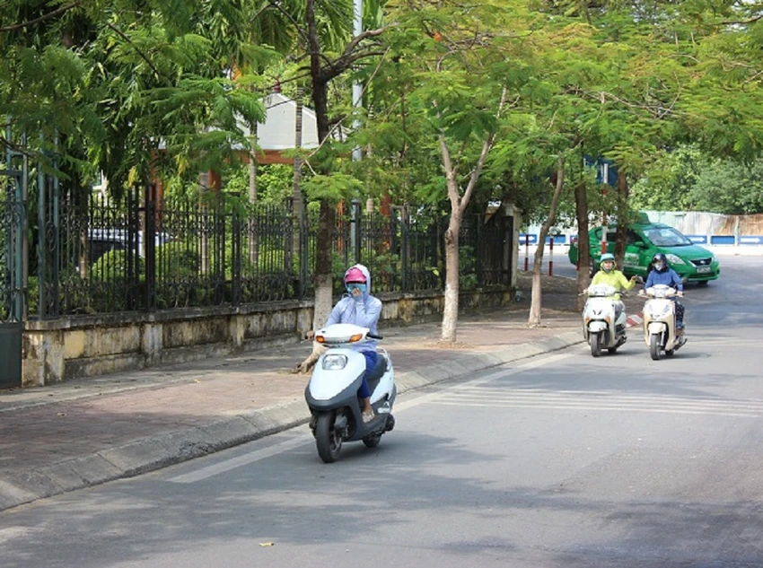 Hồ Tây không còn cá chết nhưng mùi thối vẫn nồng nặc ảnh 6 Hồ Tây không còn cá chết nhưng mùi thối vẫn nồng nặc ảnh 6