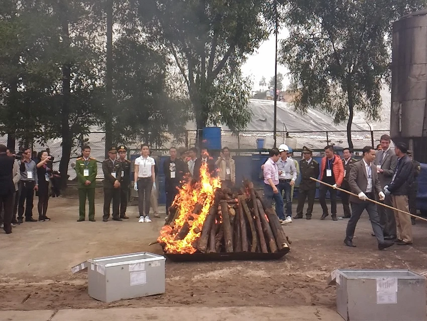 Lần đầu tiên Việt Nam tiêu hủy hơn 2.000 kg ngà voi ảnh 8