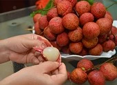 1 trẻ tử vong, 4 trẻ nhập viện do viêm não hay ăn vải?