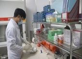 Khánh Hòa 'kêu cứu' vì không có nơi xét nghiệm COVID-19 