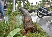 1 người chết, 29 người bị thương do bão số 5