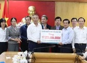 Dồn sức khôi phục sản xuất nông nghiệp ở miền Trung
