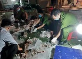 Bộ Công an phá ổ nhóm giấu ma túy trong dạ dày heo