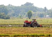 Ông Nguyễn Thành Phong làm Trưởng ban chỉ đạo phát triển 5 huyện thành quận