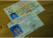 TP.HCM: Không xử lý vi phạm trường hợp giấy phép lái xe hết hạn