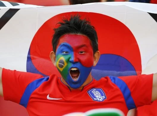 Những kiểu vẽ mặt độc nhất của fan World Cup 2014 ảnh 23