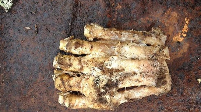 Vén màn bí ẩn suốt bao năm về người tuyết Yeti nhờ công nghệ DNA ảnh 1 Vén màn bí ẩn suốt bao năm về người tuyết Yeti nhờ công nghệ DNA ảnh 1