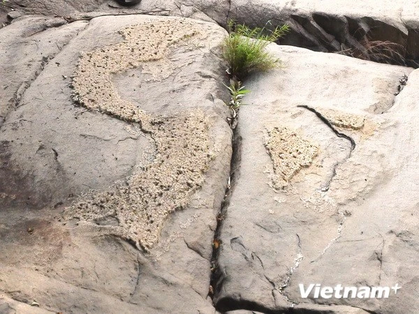 Phát hiện phiến đá nổi lên hình ảnh về bản đồ Việt Nam ảnh 1