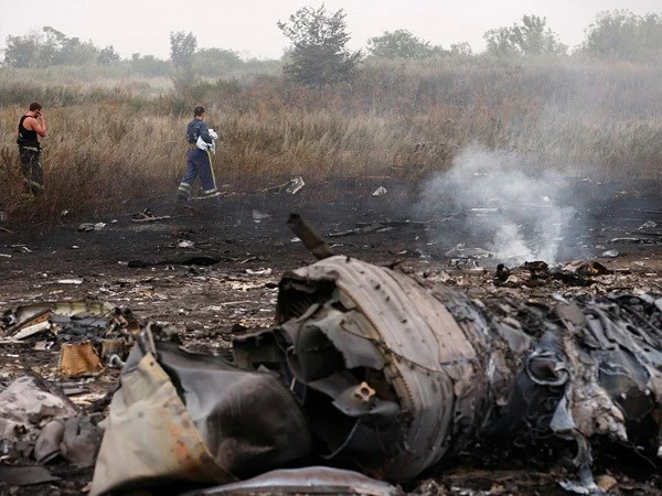Tám kịch bản giải thích tai nạn máy bay MH17 ở Ukraine ảnh 1