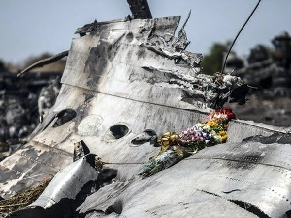Ukraine tuyên bố đã biết nguyên nhân rơi máy bay MH17 ảnh 1