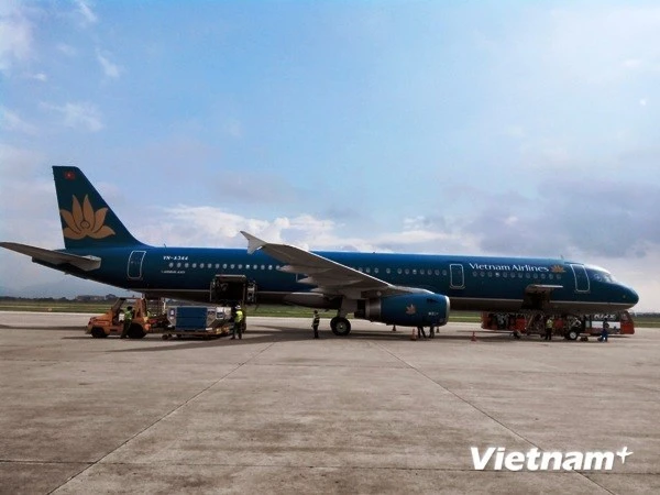 Vi phạm an toàn bay, hai phi công Vietnam Airlines bị đình chỉ ảnh 1 Vi phạm an toàn bay, hai phi công Vietnam Airlines bị đình chỉ ảnh 1