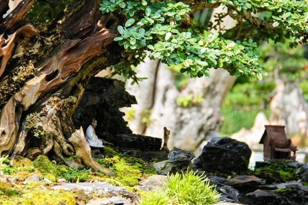 Những tiểu cảnh, bon sai vô giá ở hội hoa xuân Sài Gòn ảnh 4