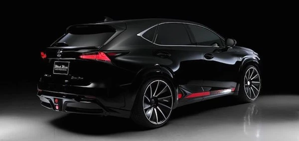 Lóa mắt với Lexus NX độ phong cách VIP của Nhật ảnh 10