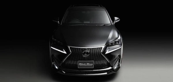Lóa mắt với Lexus NX độ phong cách VIP của Nhật ảnh 14