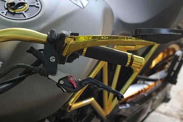 Tận thấy Honda Hornet 600 mạ vàng 24k ở Việt Nam ảnh 12