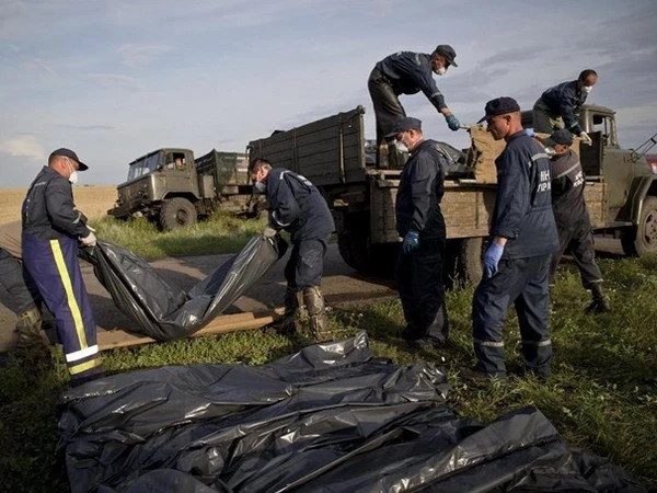 Báo Nga: Lực lượng Kiev bắn hạ máy bay MH17 của Malaysia Airlines ảnh 1 Báo Nga: Lực lượng Kiev bắn hạ máy bay MH17 của Malaysia Airlines ảnh 1