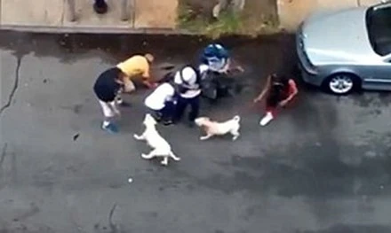 Thả chó pitbull cắn đứt tai người đàn ông trên phố ảnh 1 Người dân giải cứu hai người đàn ông khỏi những con chó dữ.