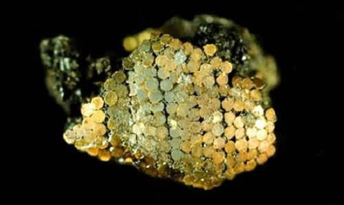 Điểm danh những kho báu cổ chất đầy vàng - ảnh 2