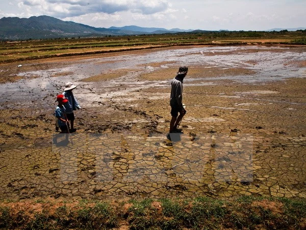 Việt Nam đối mặt một mùa đông ấm và El Nino kéo dài kỷ lục ảnh 1 Việt Nam đối mặt một mùa đông ấm và El Nino kéo dài kỷ lục ảnh 1