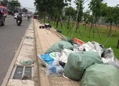 Rác đầy vỉa hè