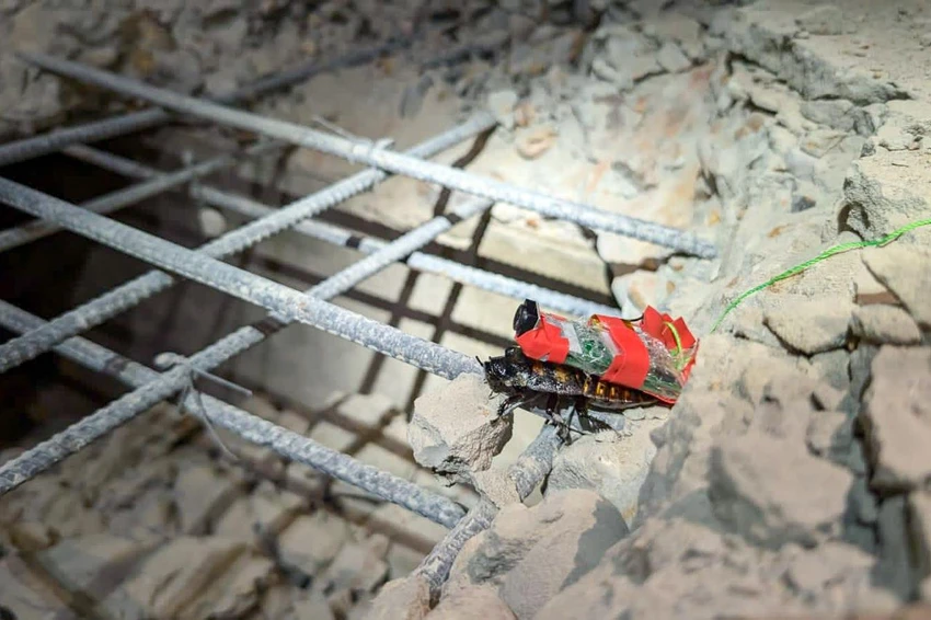 Singapore triển khai biệt đội gián-robot hỗ trợ cứu hộ động đất ở Myanmar.jpg